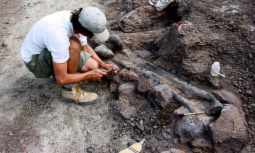 Man at an archaeological dig site