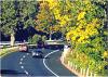 connecticut fall foliage driving tour