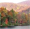 Georgia fall foliage updates