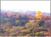 iowa fall foliage