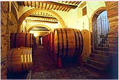 Tuscany wine cellar