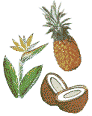 Have a Luau!