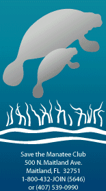 Save a Manatee for Father's Day -  "Save the Manatee" & "Adopt-a-Manatee" are registered trademarks of Save the Manatee Club, Inc.
