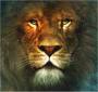 Narnia Movie Trailer