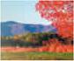 New York fall foliage