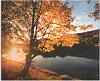 new jersey fall foliage