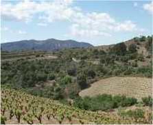 Lebanon wine tastings