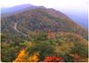 tennessee fall foliage