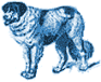 year of the dog