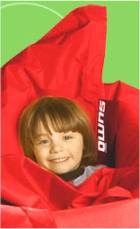 Omni Bean Bag Chair