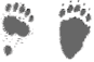 Black bear tracks pictures
