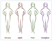 Body shapes