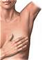 breast self exam illustration