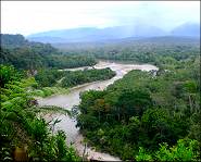 Ecuador's Amazon