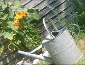 Watering can