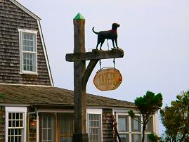 martha's vineyard