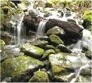 Nature conservation
