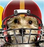 puppy bowl ready to go