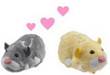 zhu zhu pets