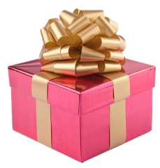 gold wrapped gift