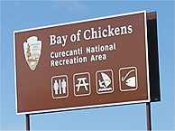 bay of chickens