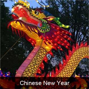 chinese dragon