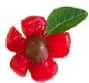 maraschino cherry flower