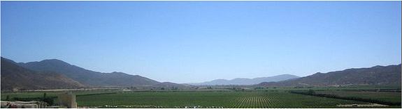 guadalupe valley vineyard