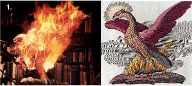 The phoenix in Harry Potter and in myth
