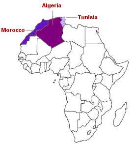 maghreb wine region in north africa