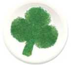 st patricks day party craft