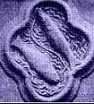 Pisces, the fish