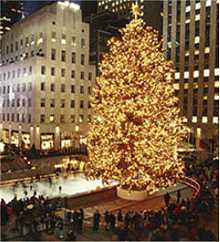 CT Christmas tree NYC