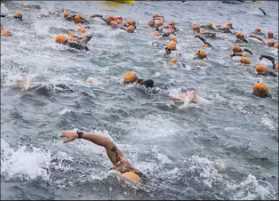 triathlon swimmers