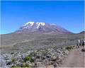 Mt. Kilimanjaro