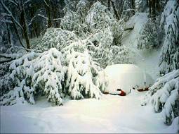 Asheville, NC blizzard 1993