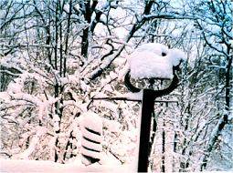 Arkansas blizzard