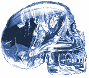 Crystal skull