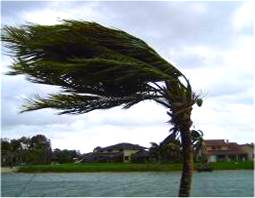 Hurricane winds