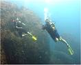 Scuba divers