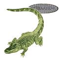 Sewer alligator - urban legend