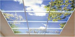 SkyCeiling