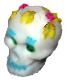 sugar skull
