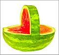 watermelon basket diagram