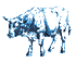 Ox