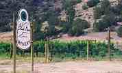 New Mexico Wineries & Vineyards