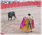Spain tourism - Barcelona bullfight