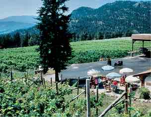 Vineyard near Okanagan Falls courtesy Tourism BC