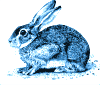 2011 year of the rabbit
