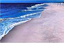  Delaware Beach